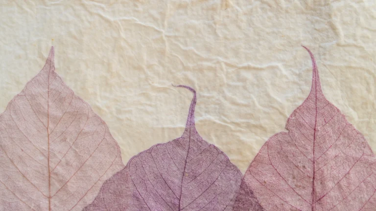 Untitled Design 17 1 768x432