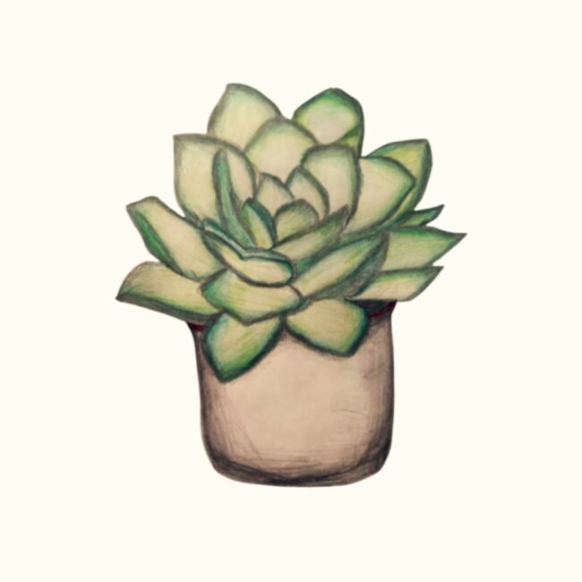 Desert Greens Posters and Art Prints